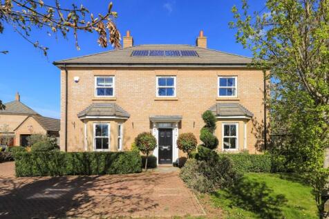 Img (39).jpg