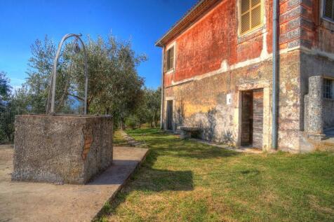 Well &amp; cellar level