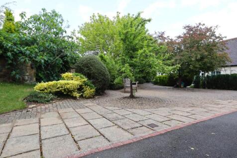 View from front door.jpg