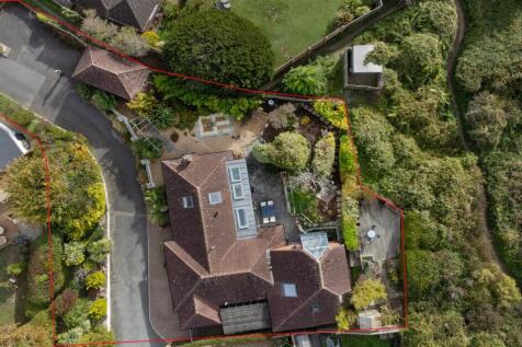 Plot Area