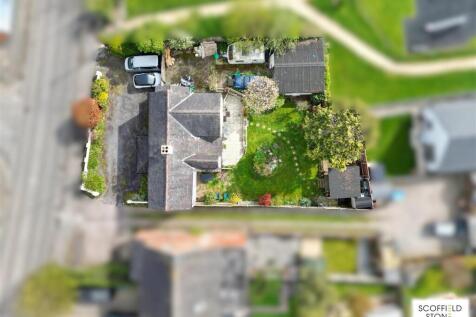 Birds eye
