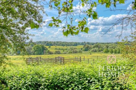 View of Hylands Park