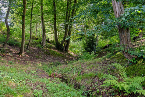 Property Image 18