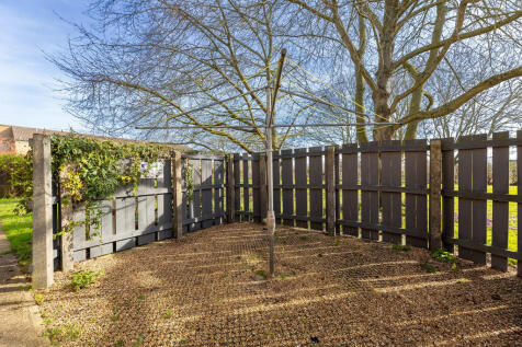 Communal Garden
