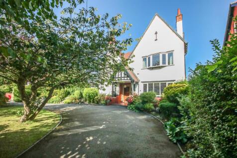 Front Garden/Driveway