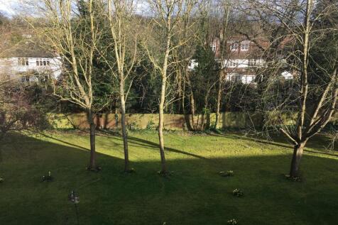 garden.JPG