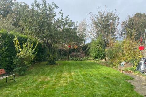 Picture No. 14