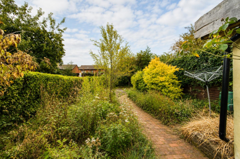 Garden 2.png