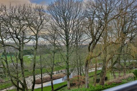 _S3A3374.jpg