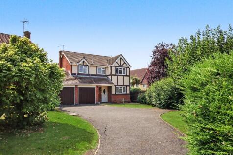 IMG_8169.JPG