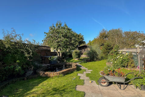 Garden (2)