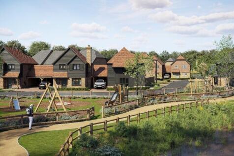 Development CGI