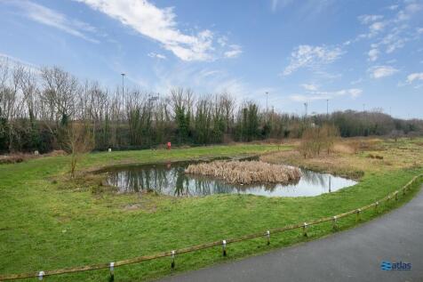 Communal Pond