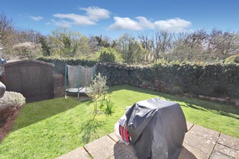 garden 2.JPG
