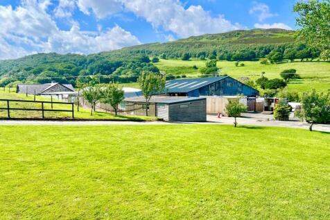 PHOTO-2024-07-16-21-38-37 (12).jpg