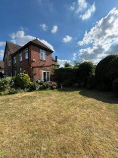 WhatsApp Image 20250701 at 105150_9162558f.jpg