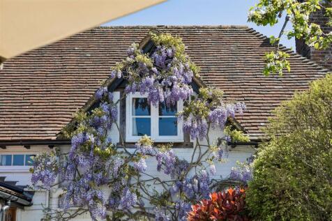 Wisteria