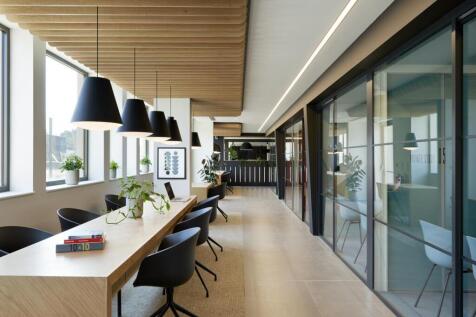Study Area