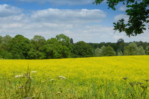 Hatfield Peverel Local Area