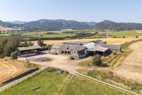Lot 1 - Wester Moy