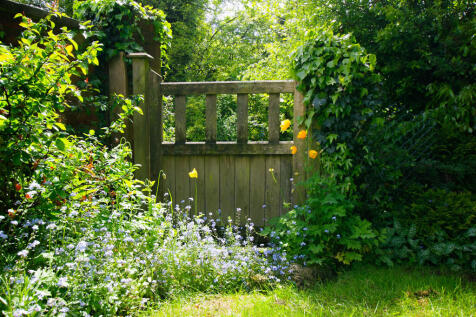 Property Image 24