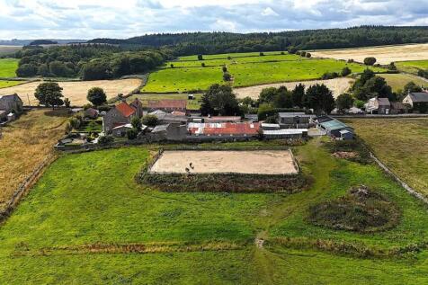 straight shot back to house.jpg