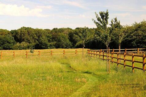 Fields