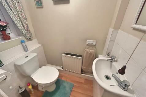 IMG_2736 (Large).JPG