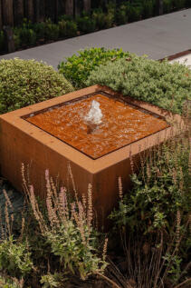 313284 - _A741180.jpg