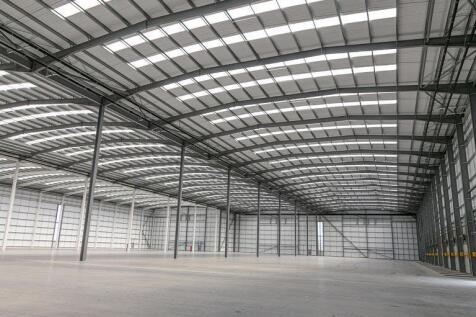 IMG_8979 resized.jpg