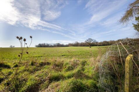 LE12 8TH 54MS-023.jpg