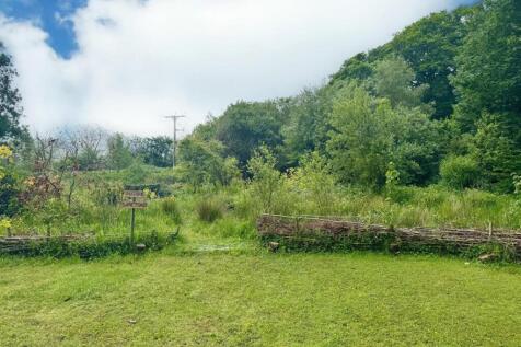 PHOTO-2025-05-30-07-36-19 (15).jpg