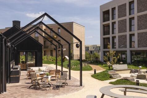 BBQ Area