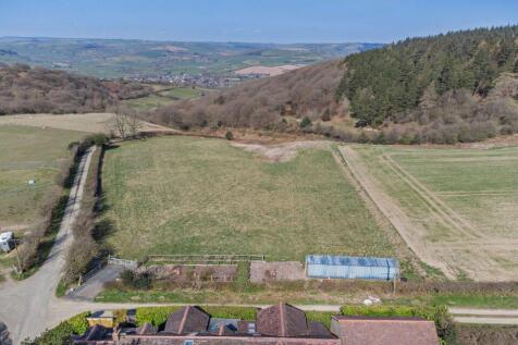 Paddock Land