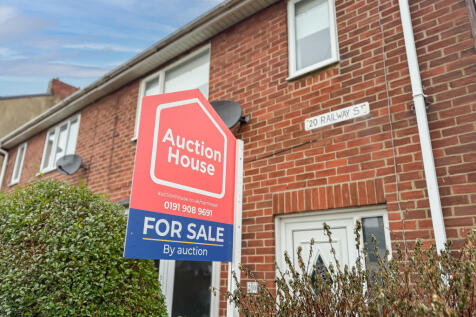 IMG 0775 T202601201413.jpg