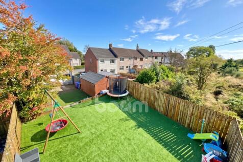 Alexander Fleming Avenue, Kilbirnie garden pic
