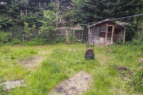 Garden .jpg