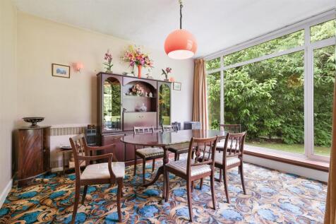 SILVER TREES- (3).jpg