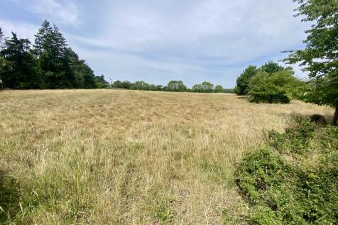 Meadow