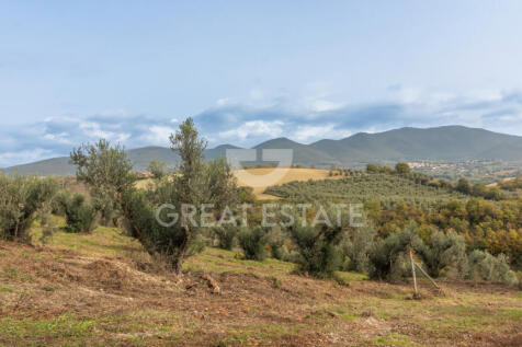 Panorama e Particolari