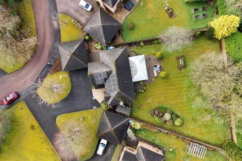 Ariel Shot