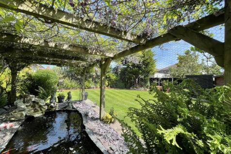 IMG_2201_118_larg...