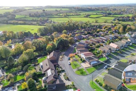 DJI_0272.jpg