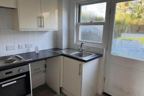 IMG 3492 Medium T202604011522.jpg