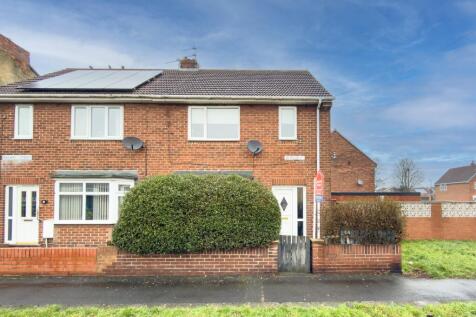 Newone T202602121827.jpg