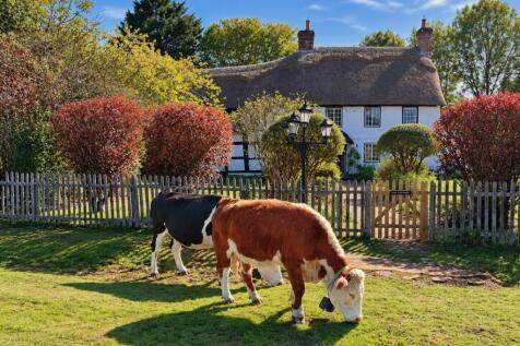 The Cottage Photos - MP (5)