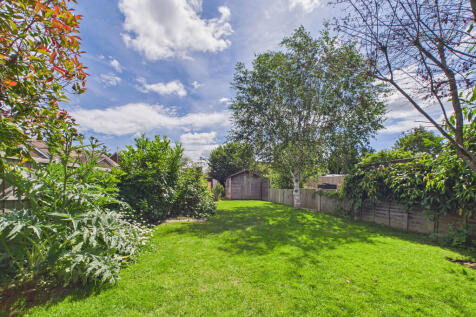 rear of garden