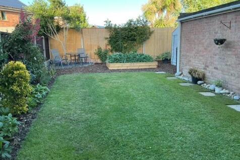 Back garden