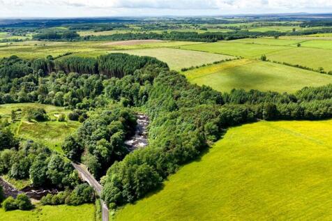 Woodland and River