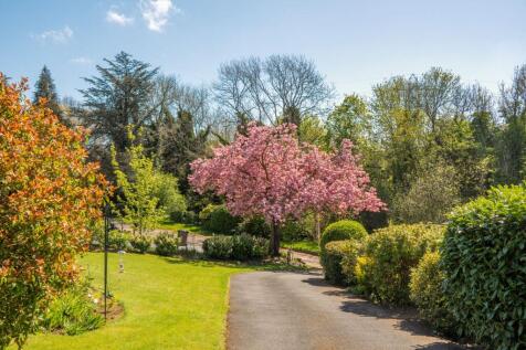 Property Image 62